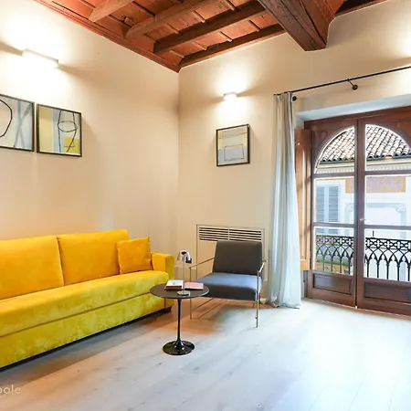 Apartment Palazzo Zoya - Elegant Historic - Center - Near Langhe & Monferrato *